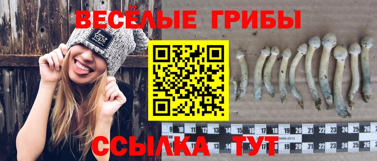 Галлюциногенные грибы мухоморы  Вход с VPN  Егорьевск  Галлюциногенные грибы прущие грибы 